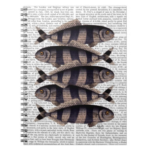 Five Striped Fish Spiral Notebook