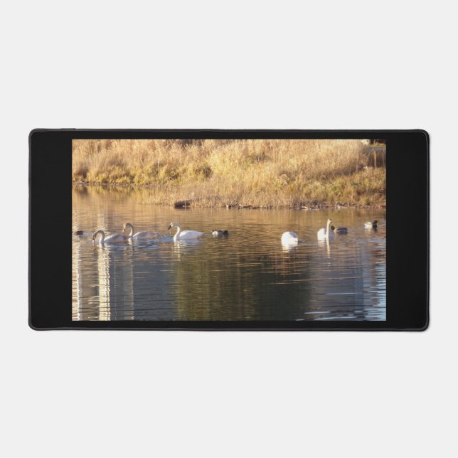 Five Trumpeter Swans n Ducks Desk Mat (Front)
