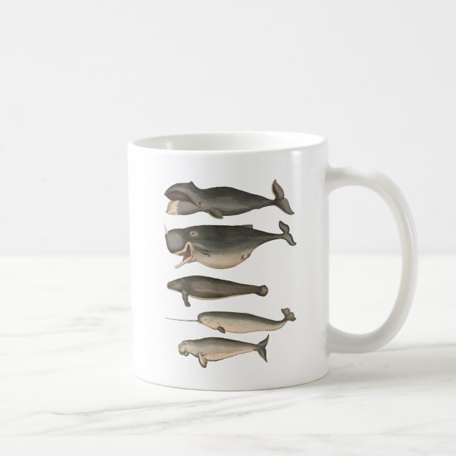 Five Vintage Whales Coffee Mug (Right)