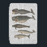 Five Vintage Whales iPad Mini Cover<br><div class="desc">Coastal & Tropical</div>