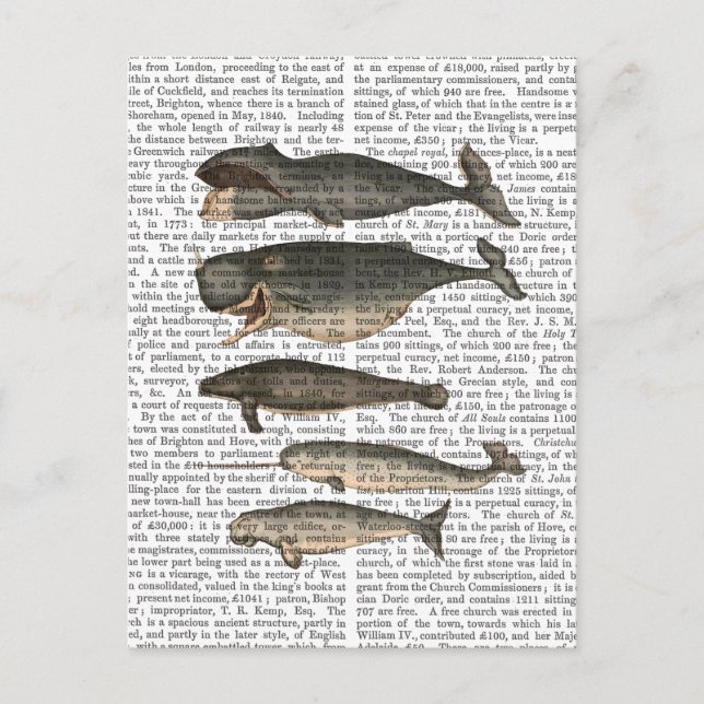 Five Vintage Whales Postcard (Front)