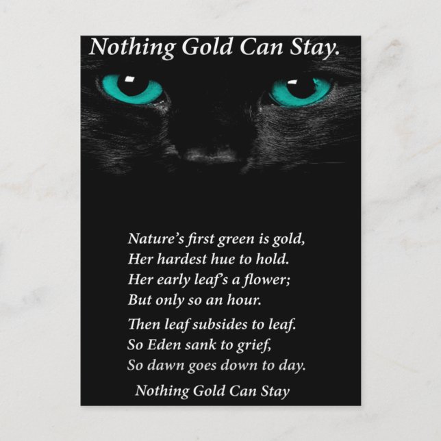 Fixed Eyes Postcard (Front)