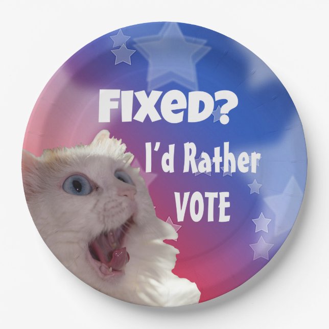 Fixed? I’d Rather Vote  Paper Plate (Front)