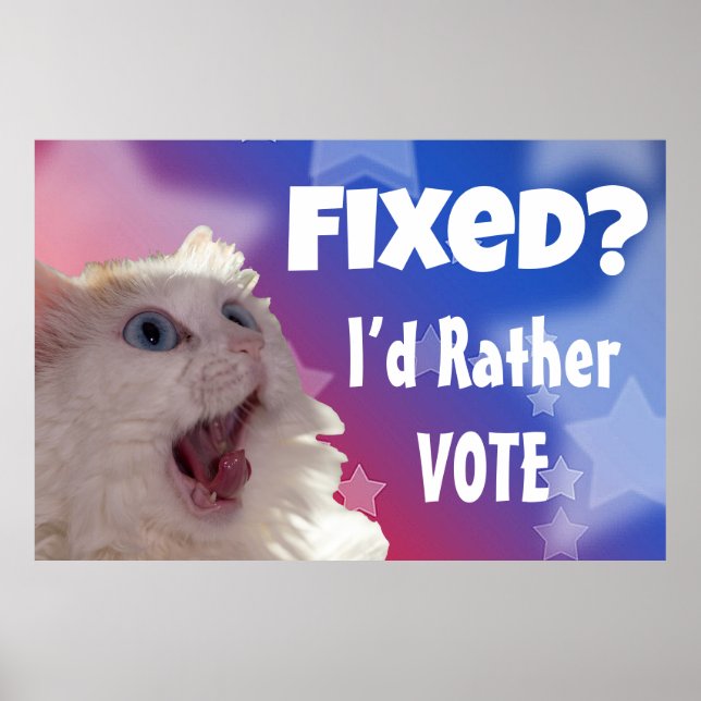 Fixed? I’d Rather Vote  Poster (Front)