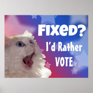 Fixed? I’d Rather Vote  Poster