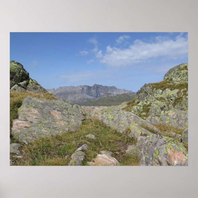 Fiz French Alps Poster (Front)