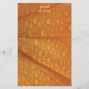 fizzie orange stationery