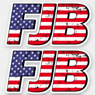 FJB lets go Brandon vintage American flag