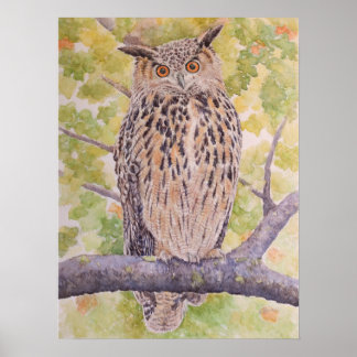 Flaco the Eurasian Eagle Owl Poster