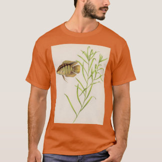Flag cichlid Mesonauta festivus T-Shirt