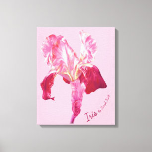 Flag Iris red and pink hued boxed canvas Print