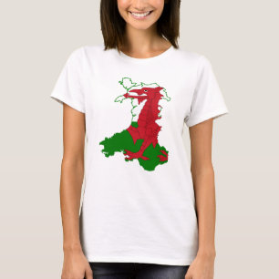 Flag Map of Wales T-Shirt