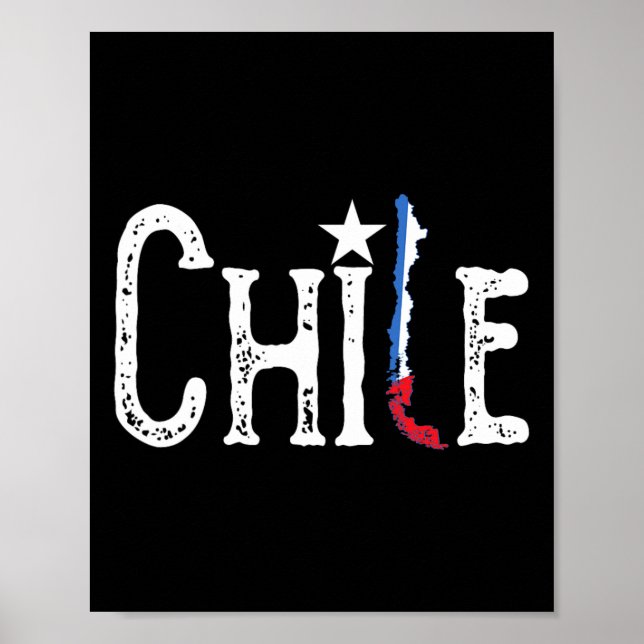 Flag Map Patriotic Independence Day  Poster (Front)