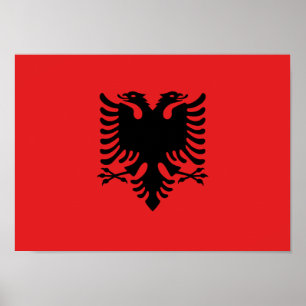 Flag of Albania - Flamuri Kombëtar - Albanian Flag Poster