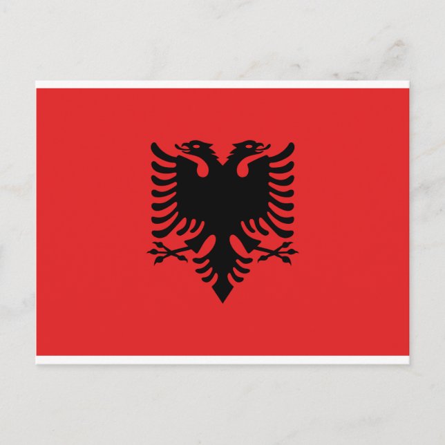 Flag of Albania Postcard (Front)