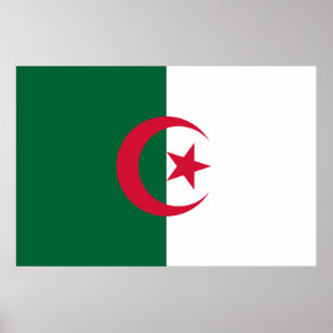 Flag of Algeria Poster