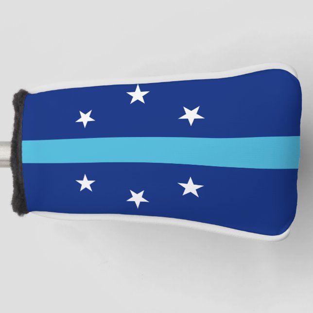 Flag of Anaheim, California Golf Head Cover (Front)