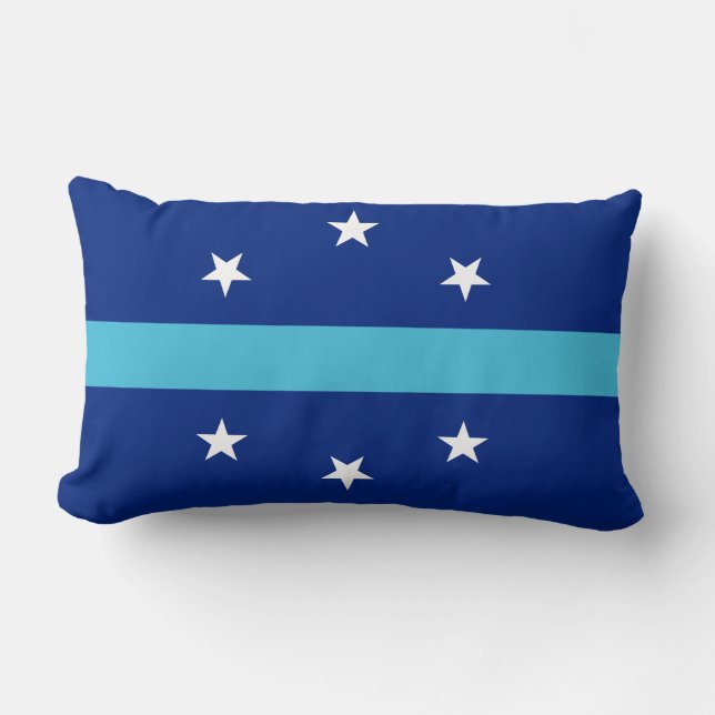 Flag of Anaheim, California Lumbar Cushion (Front)