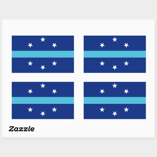 Flag of Anaheim, California Rectangular Sticker (Sheet)
