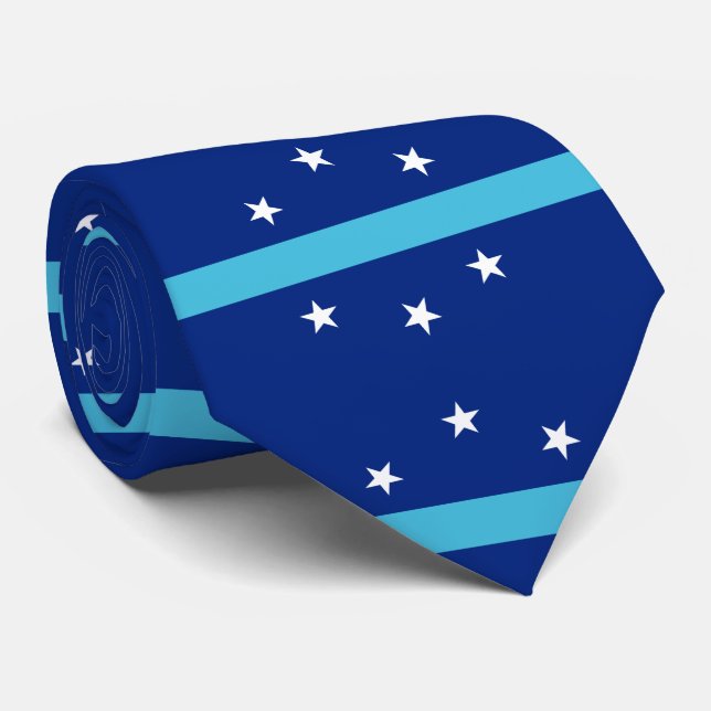 Flag of Anaheim, California Tie (Rolled)