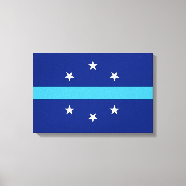 Flag of Anaheim (California, USA) Canvas Print (Front)