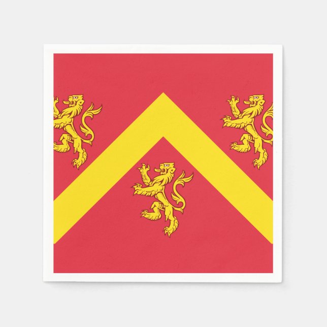 Flag of Anglesey Napkins (Front)