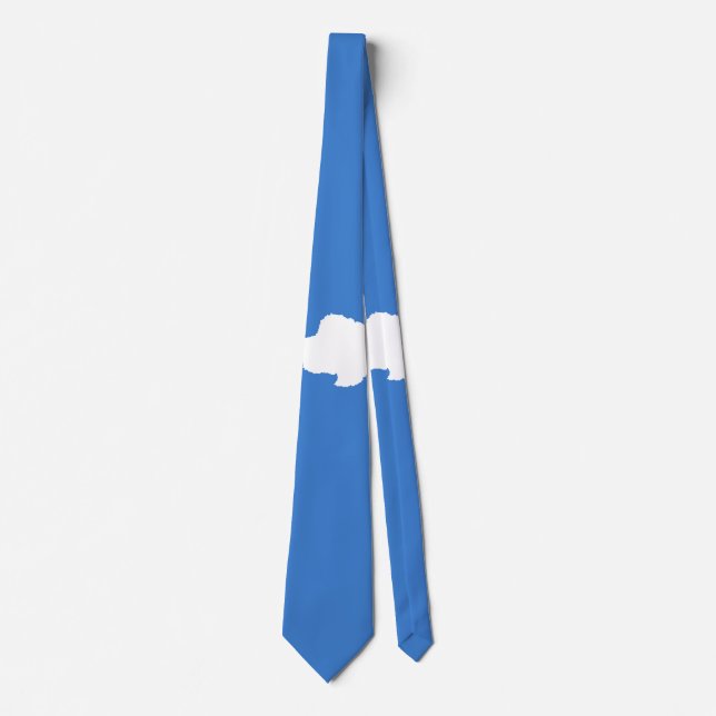 Flag of Antarctica Tie (Front)