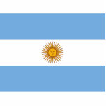 Flag of Argentina Standing Photo Sculpture<br><div class="desc">Official flag of Argentina.</div>