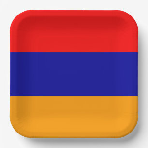 Flag of Armenia colours Paper Plate