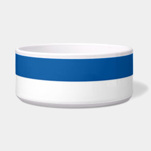 Flag of Assen