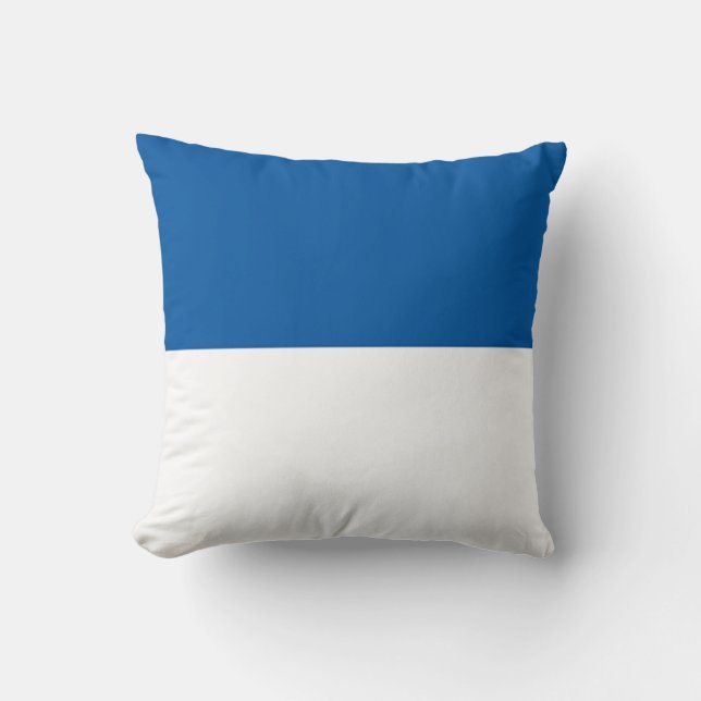 Flag of Assen Cushion (Front)