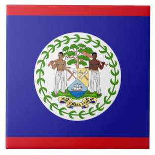 Flag of Belise Tile