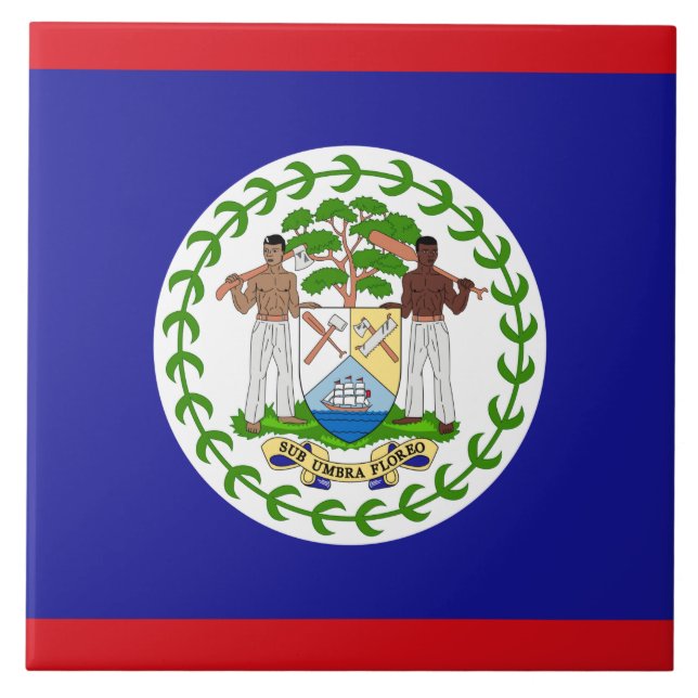 Flag of Belise Tile (Front)
