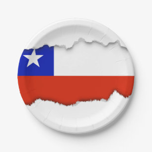 Flag of Chilean Paper Plate