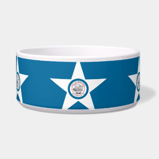 Flag of city of Houston, Texas Bowl