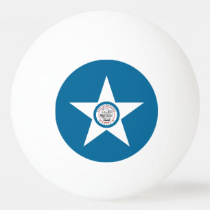 Flag of city of Houston, Texas Ping-Pong Ball
