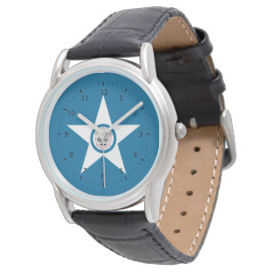 Flag of city of Houston, Texas Watch