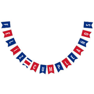 Flag of Costa Rica Birthday Party Decorations