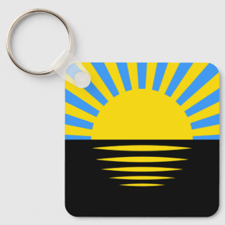 Flag of Donetsk Oblast Key Ring