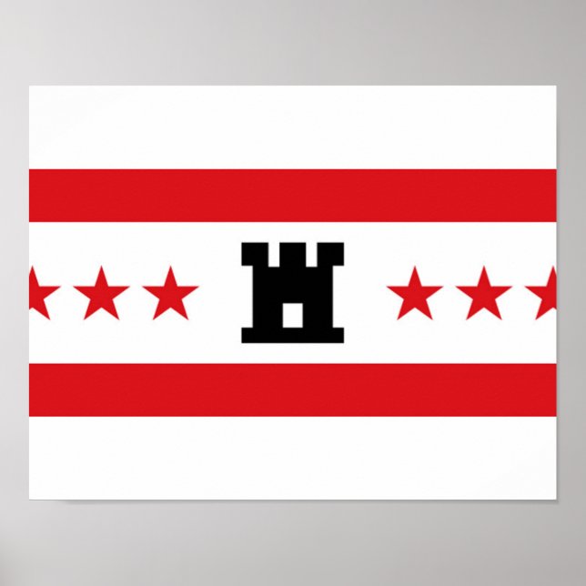 Flag of Drenthe Poster (Front)