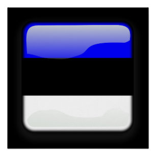 Flag of Estonia Poster