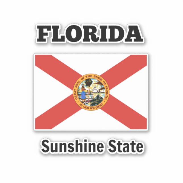 Flag of Florida and state motto (Front)