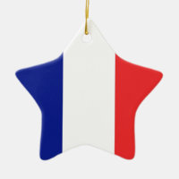 Flag of France French Tricolore