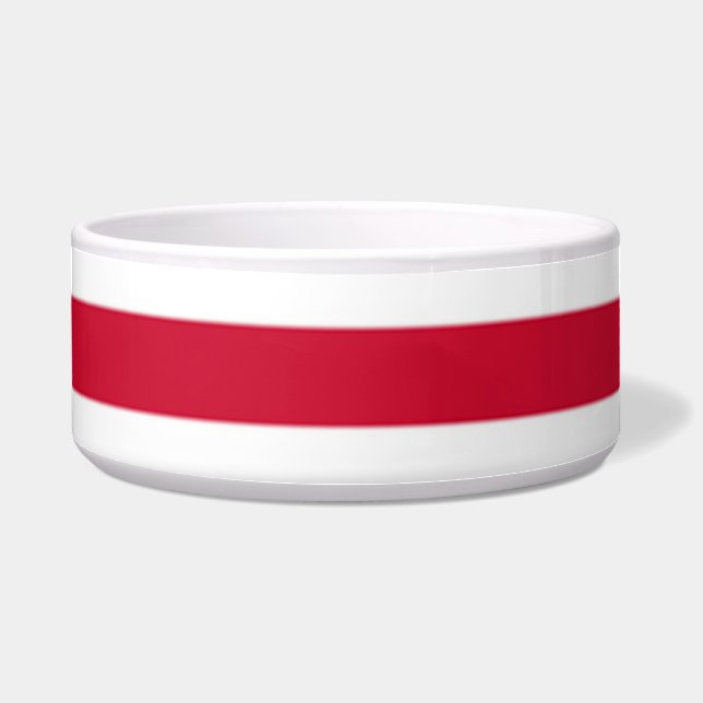 Flag of Goes (Front)