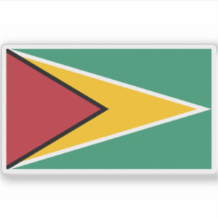 Flag of Guyana 