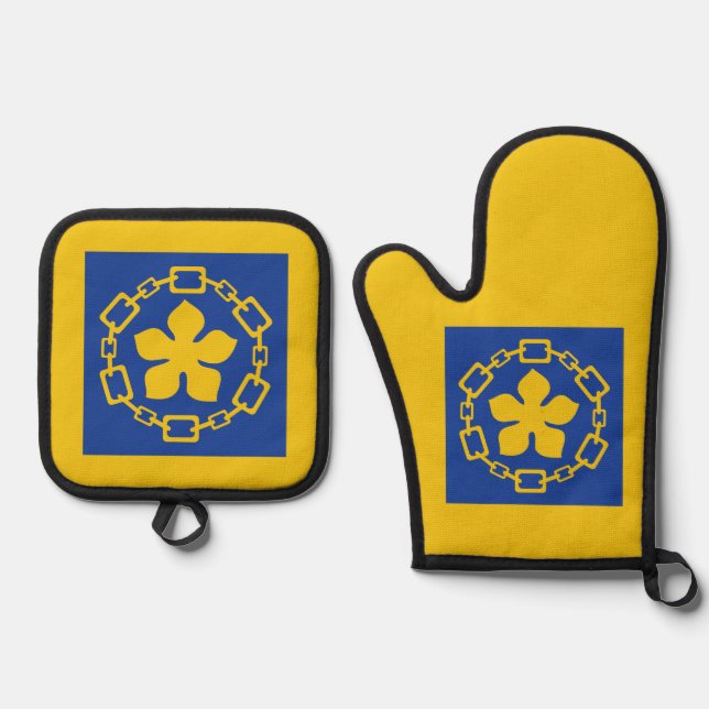 Flag of Hamilton, Ontario Serving Tray Oven Mitt & Pot Holder Set (Front)