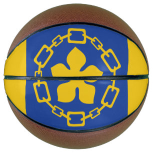 Flag of Hamilton, province of Ontario, CANADA Basketball