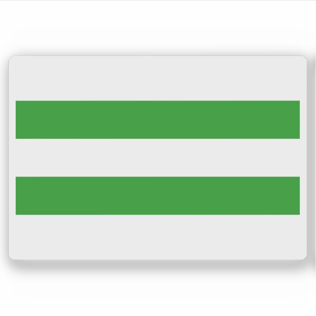 Flag of Hasselt, Belgium (Front)