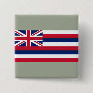 Flag of Hawaii (US State) 15 Cm Square Badge