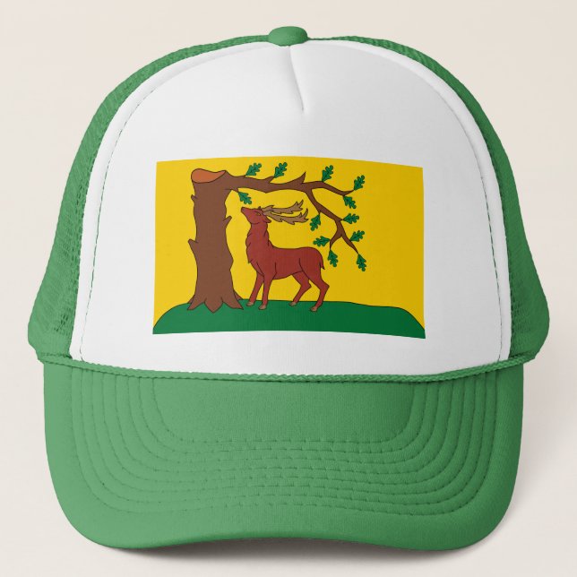 Flag of historic county of Berkshire Hat (Front)